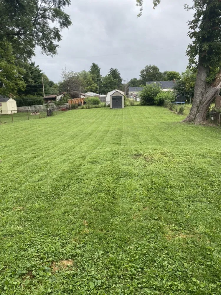 Reliable yard cleanup service experts serving Springfield, OH - Taylor Outdoor Services