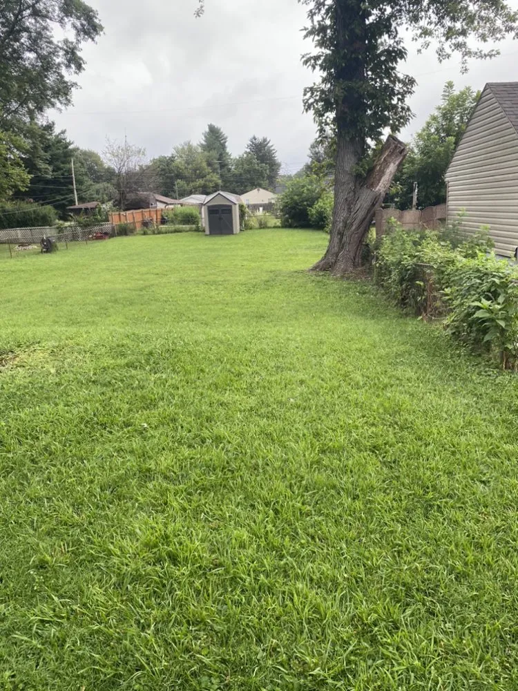 Local landscape design experts serving Springfield, OH - Taylor Outdoor Services