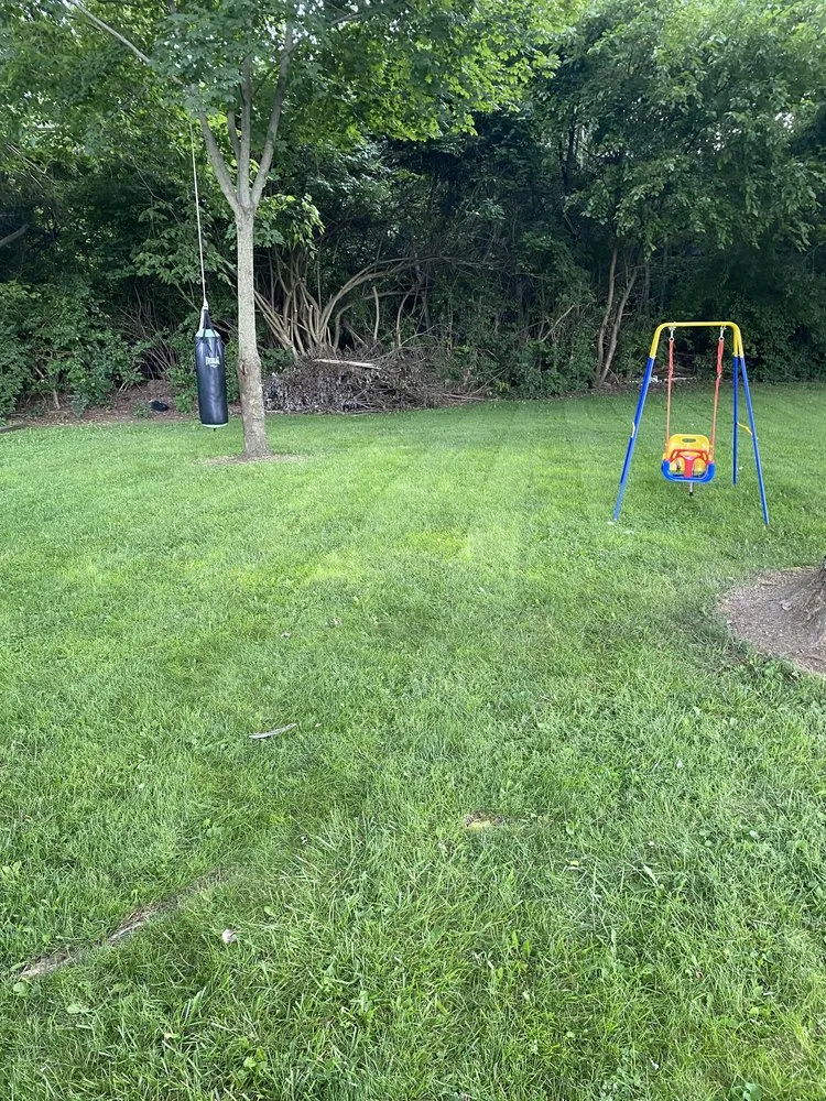 Reliable yard maintenance near you across Springfield, OH - Taylor Outdoor Services