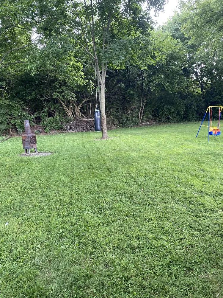 Top-rated lawn care service experts serving Springfield, OH - Taylor Outdoor Services