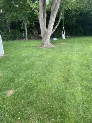 Taylor Outdoor Services Logo