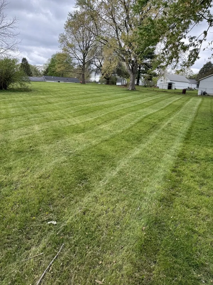 Top-rated lawn care service for outdoor upgrades across Des Moines, IA - Taylor Property Solutions