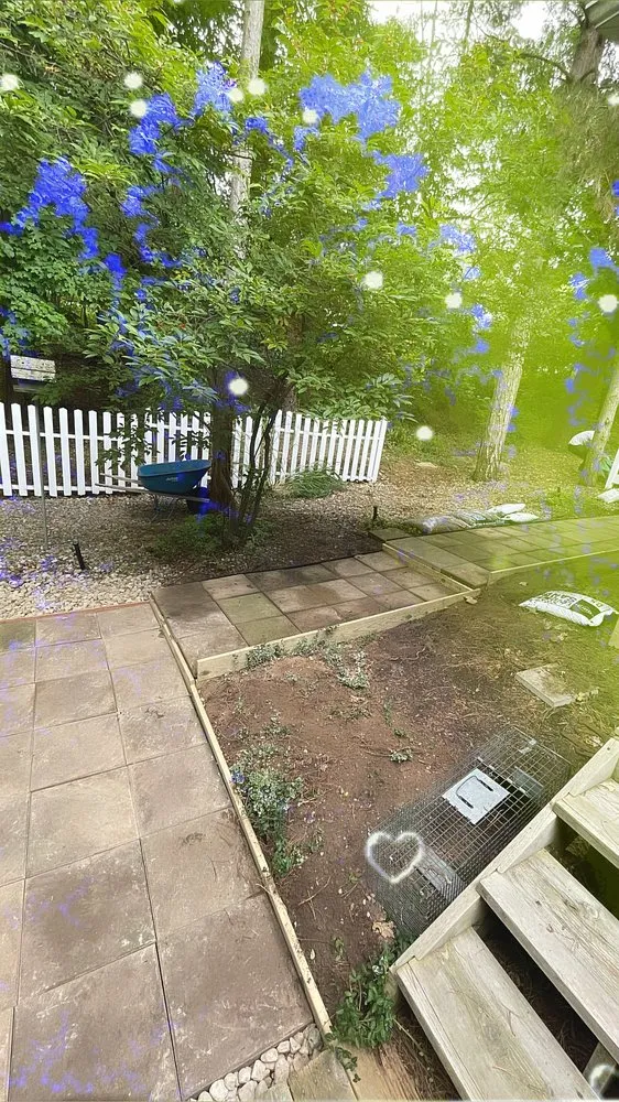 Top-rated landscaping services experts serving Grand Rapids, MI - Taylor Scapes