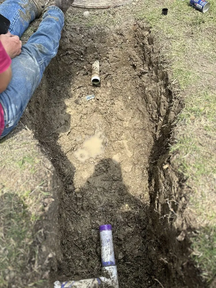 Top-rated yard cleanup service with custom design in Rockwall, TX by Taylor Services