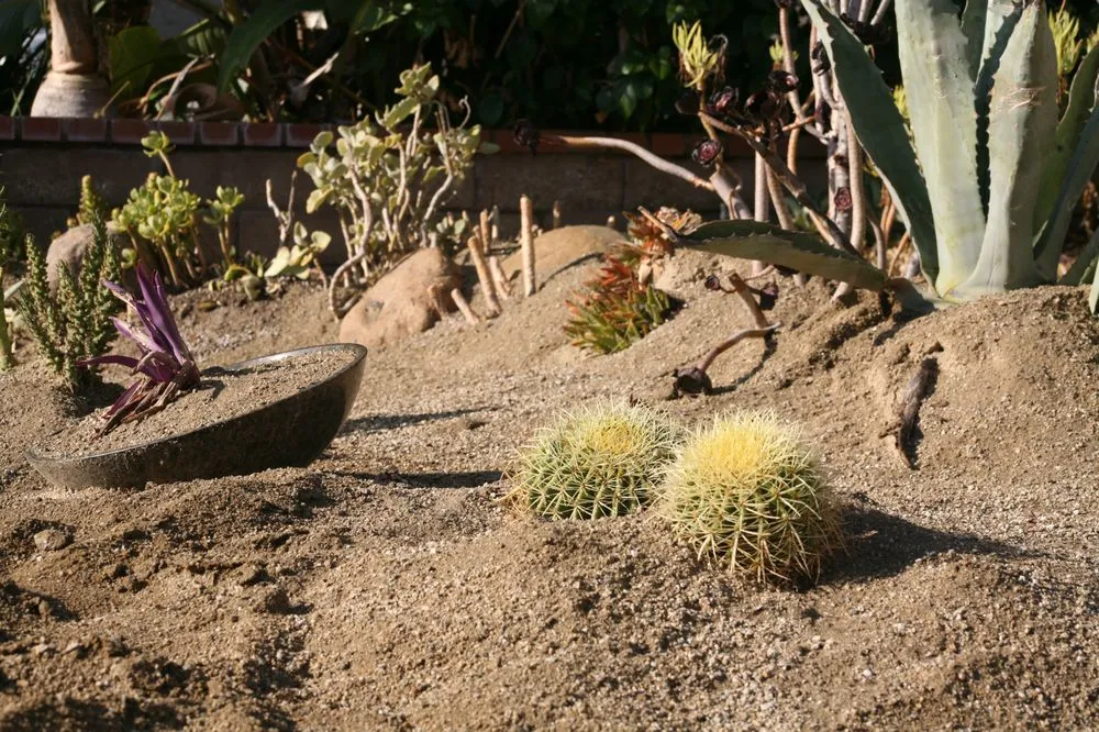 Expert landscape design in Pomona, CA by Taylor Smith Succulents