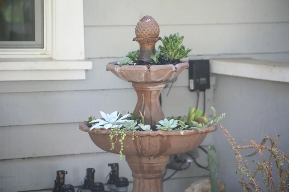 Trusted garden landscaping in Pomona, CA - Taylor Smith Succulents