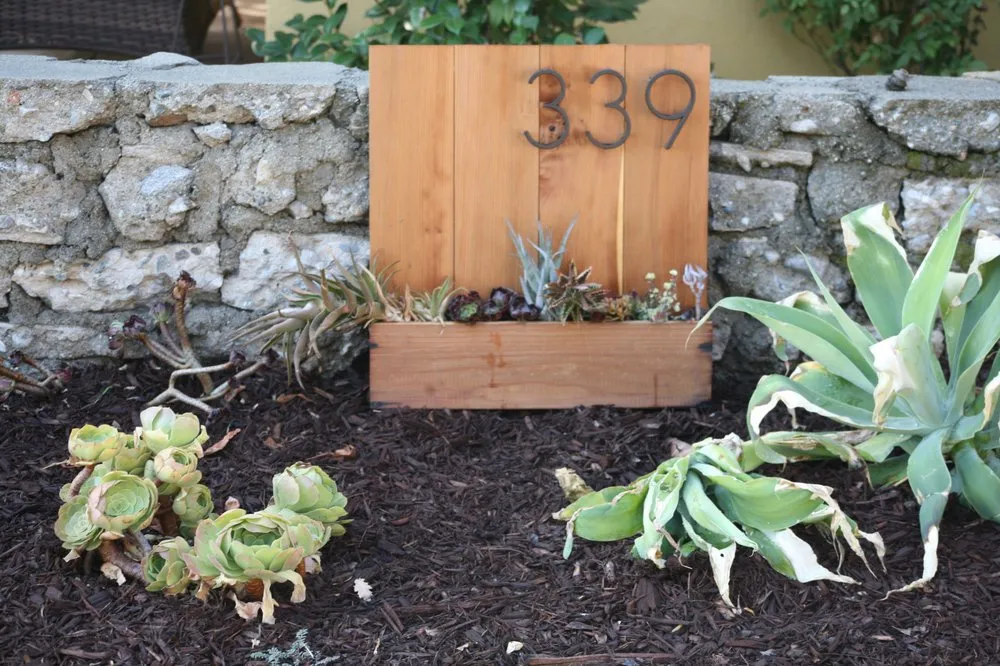 Professional lawn mowing service for beautiful yards across Pomona, CA - Taylor Smith Succulents