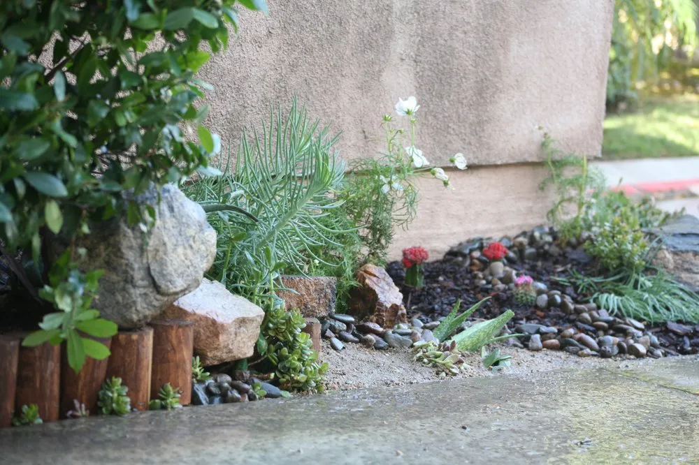 Top-rated landscape design in Pomona, CA - Taylor Smith Succulents