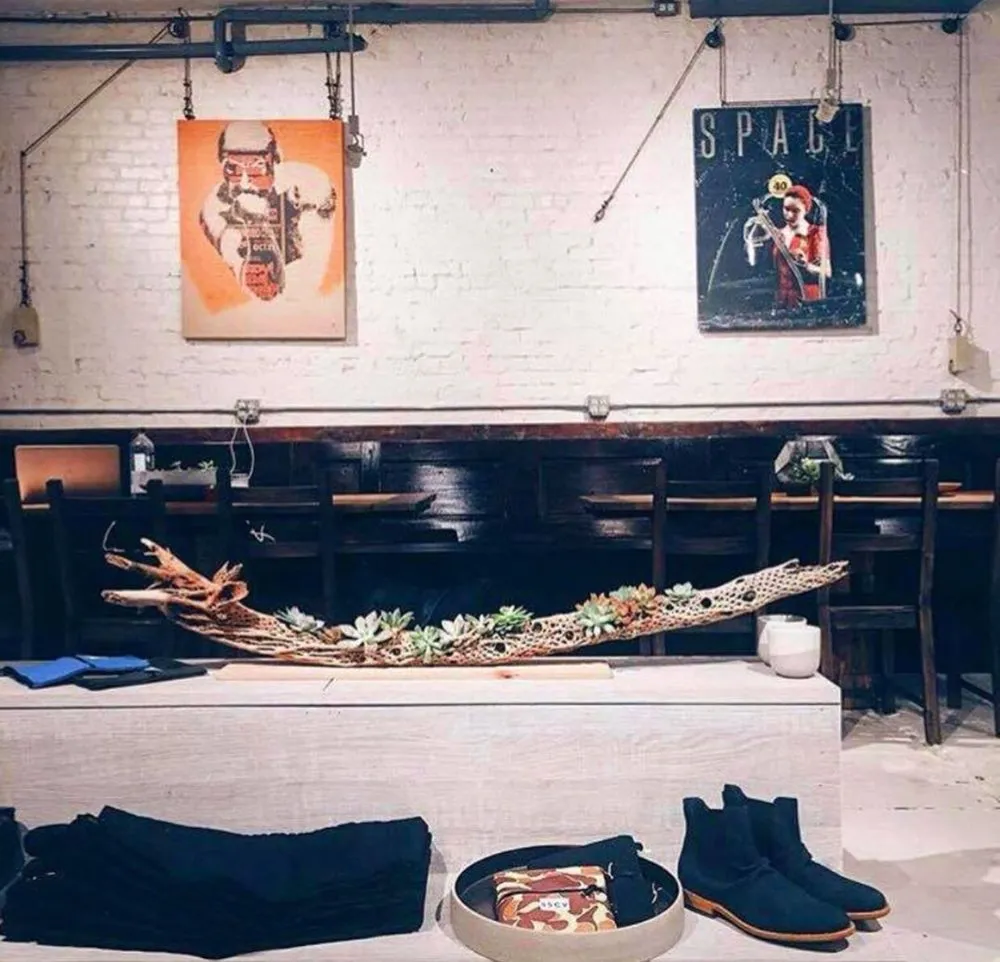 Top-rated yard maintenance for year-round maintenance across Pomona, CA - Taylor Smith Succulents