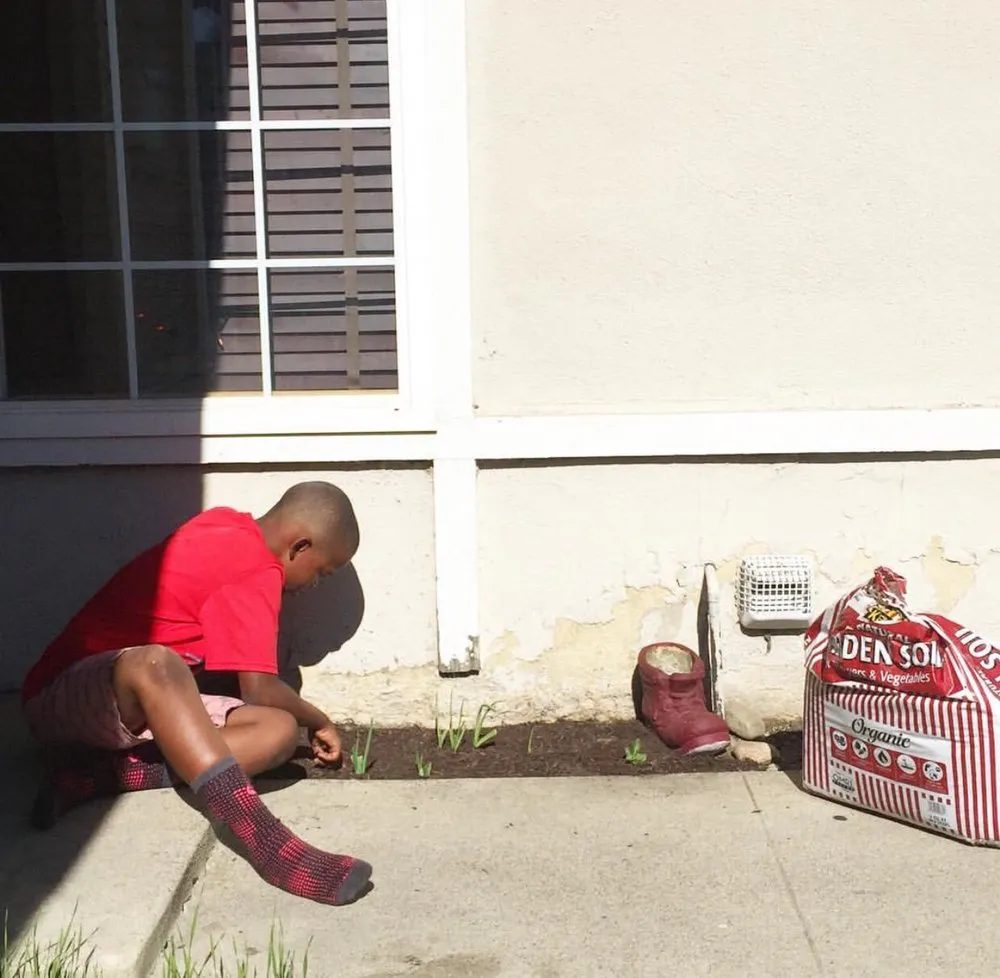 Custom outdoor landscaping experts serving Pomona, CA - Taylor Smith Succulents