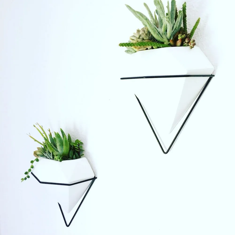 Local outdoor landscaping in Pomona, CA - Taylor Smith Succulents