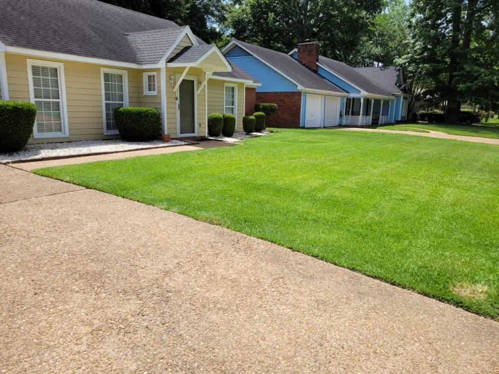 Reliable yard cleanup service in Jackson, MS by Taylor Thomas and Taylor Lawn Care
