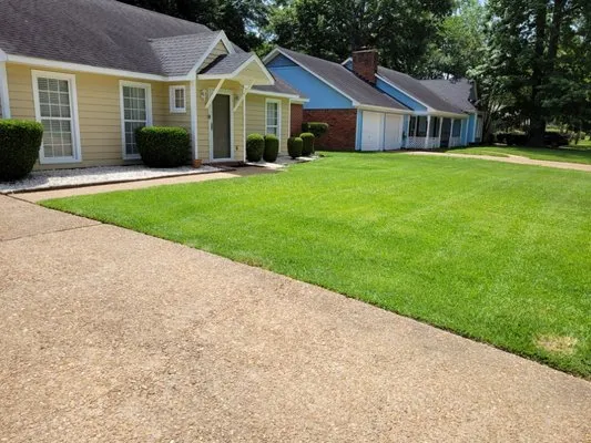 Taylor Thomas and Taylor Lawn Care Logo