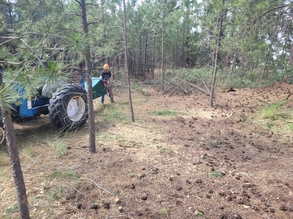 Professional lawn care service experts serving Cheney, WA - Taylord Farms Custom Services