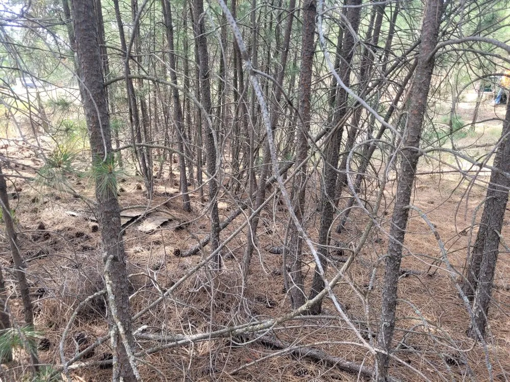 Expert residential landscaping for year-round maintenance in Cheney, WA by Taylord Farms Custom Services