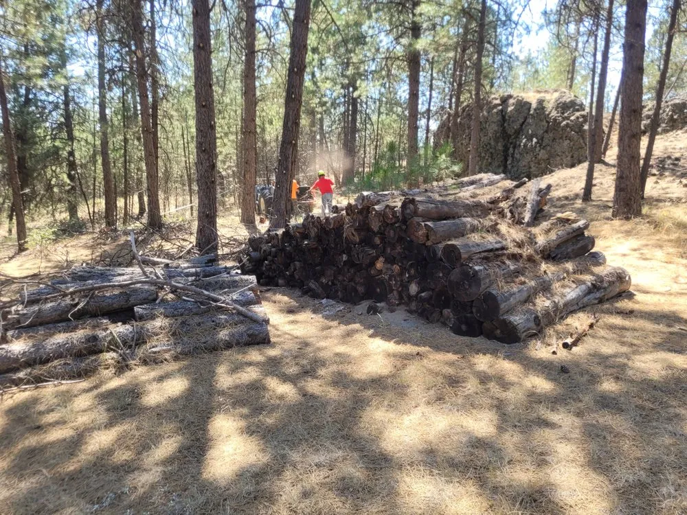 Expert landscaping services for year-round maintenance in Cheney, WA by Taylord Farms Custom Services