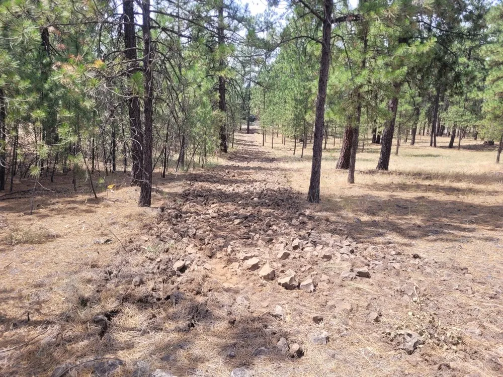 Top-rated landscape installation for beautiful yards in Cheney, WA by Taylord Farms Custom Services