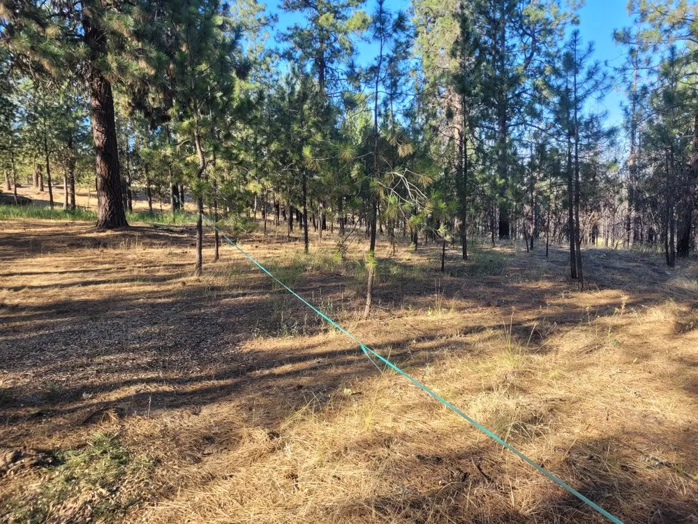 Expert residential landscaping experts serving Cheney, WA - Taylord Farms Custom Services