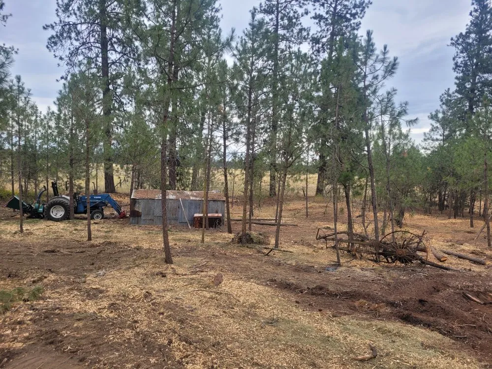 Local yard cleanup service in Cheney, WA by Taylord Farms Custom Services