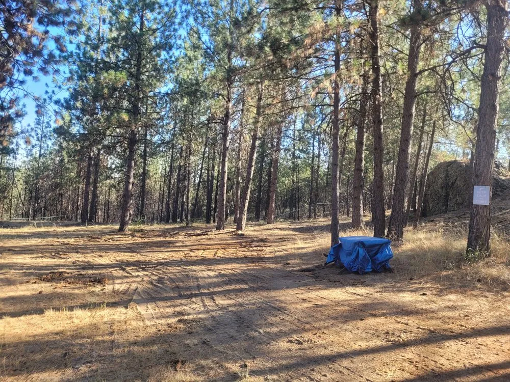 Expert residential landscaping for beautiful yards in Cheney, WA by Taylord Farms Custom Services
