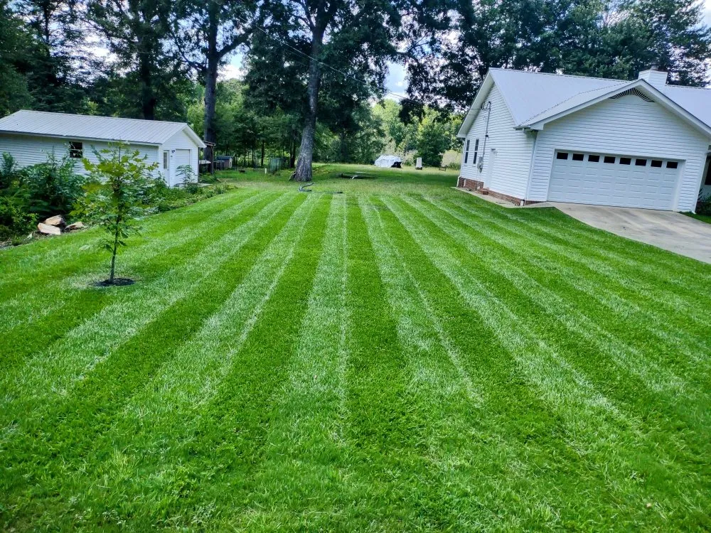 Affordable yard cleanup service in Clanton, AL - Taylor'd Lawns