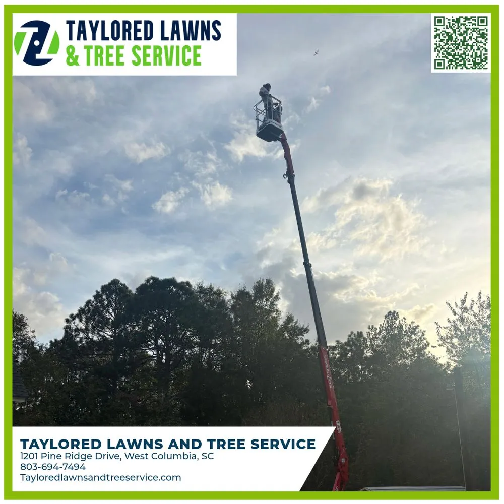 Reliable lawn care service for residential properties across West Columbia, SC - Taylored Lawns & Tree Service