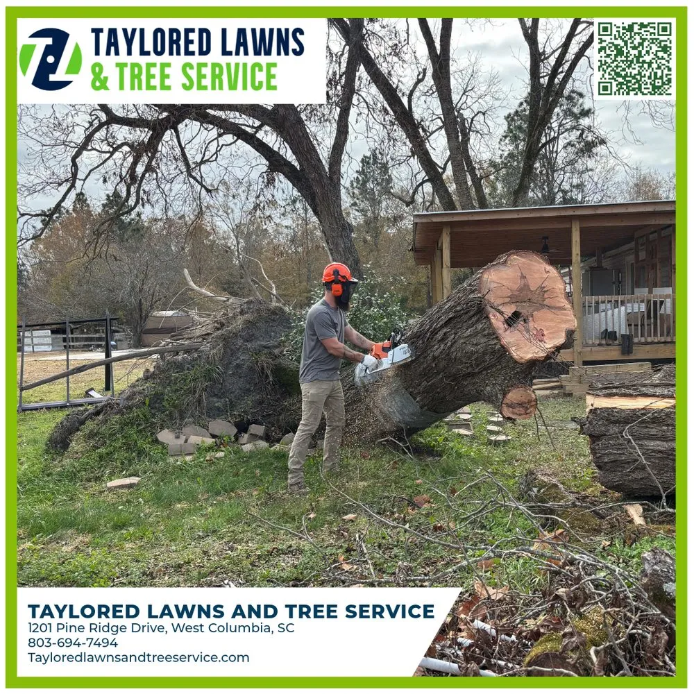 Local landscape installation experts serving West Columbia, SC - Taylored Lawns & Tree Service