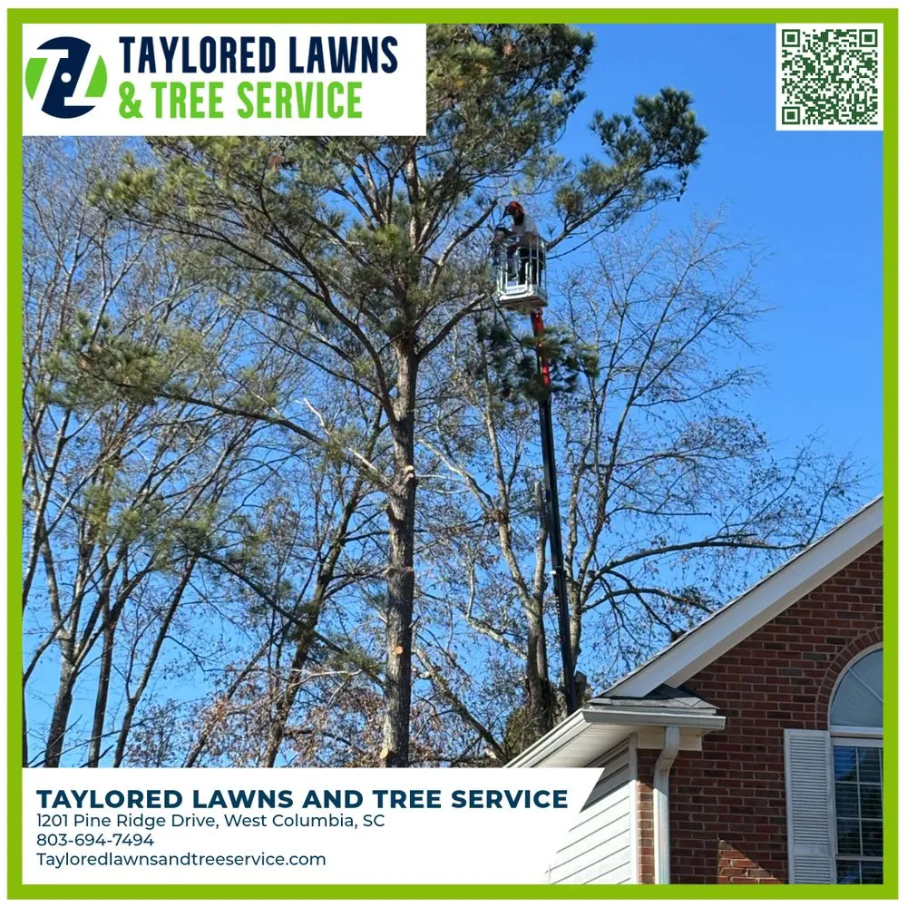 Affordable yard cleanup service in West Columbia, SC by Taylored Lawns & Tree Service