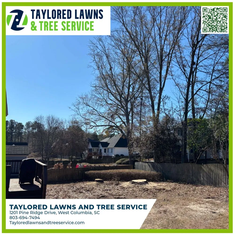 Affordable yard cleanup service in West Columbia, SC by Taylored Lawns & Tree Service
