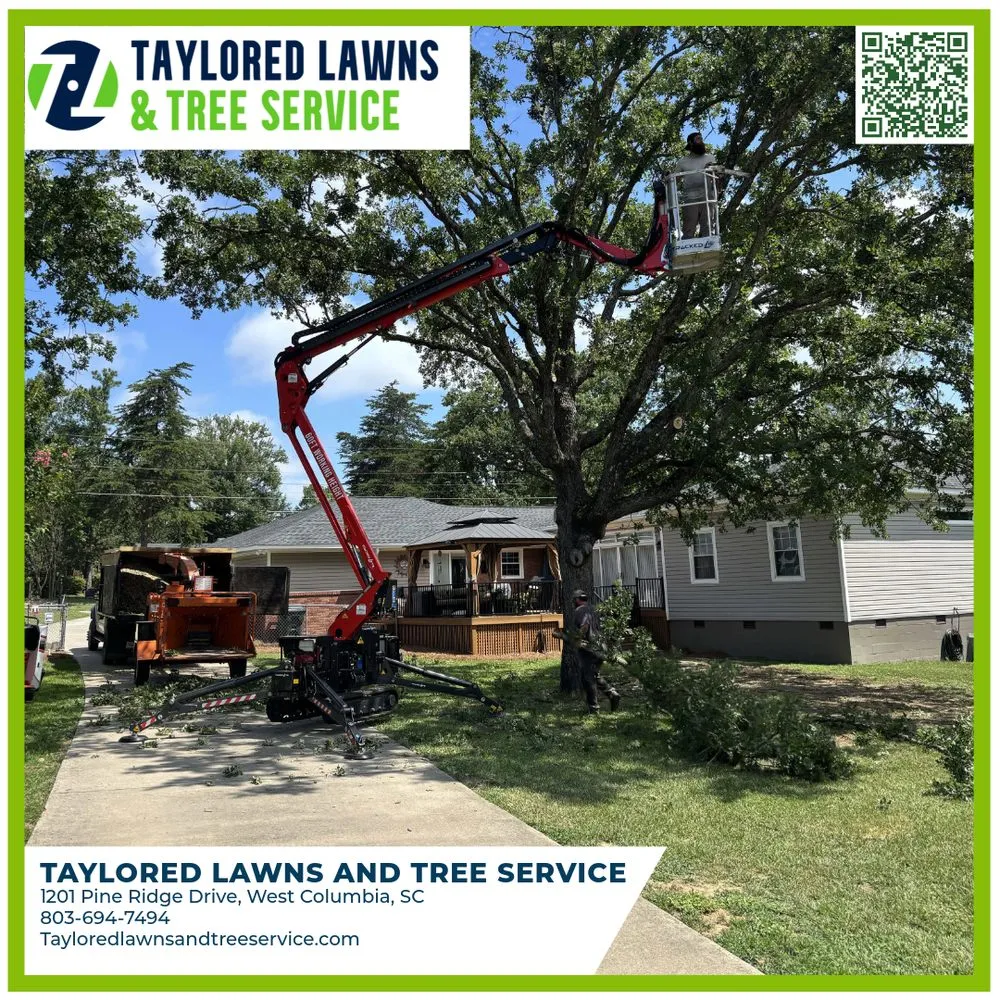 Trusted landscape design experts serving West Columbia, SC - Taylored Lawns & Tree Service