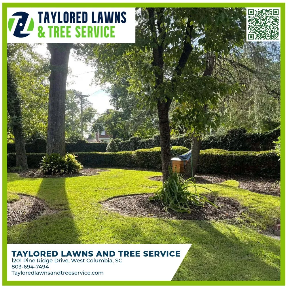 Trusted landscape installation experts serving West Columbia, SC - Taylored Lawns & Tree Service