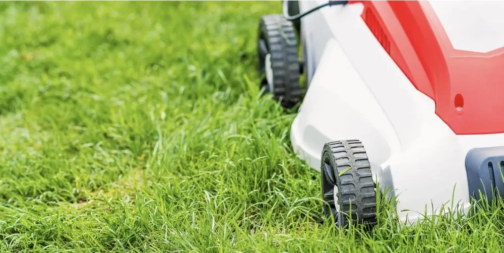 Top-rated outdoor landscaping in Green Cove Springs, FL by Taylored2Cut Lawn Service