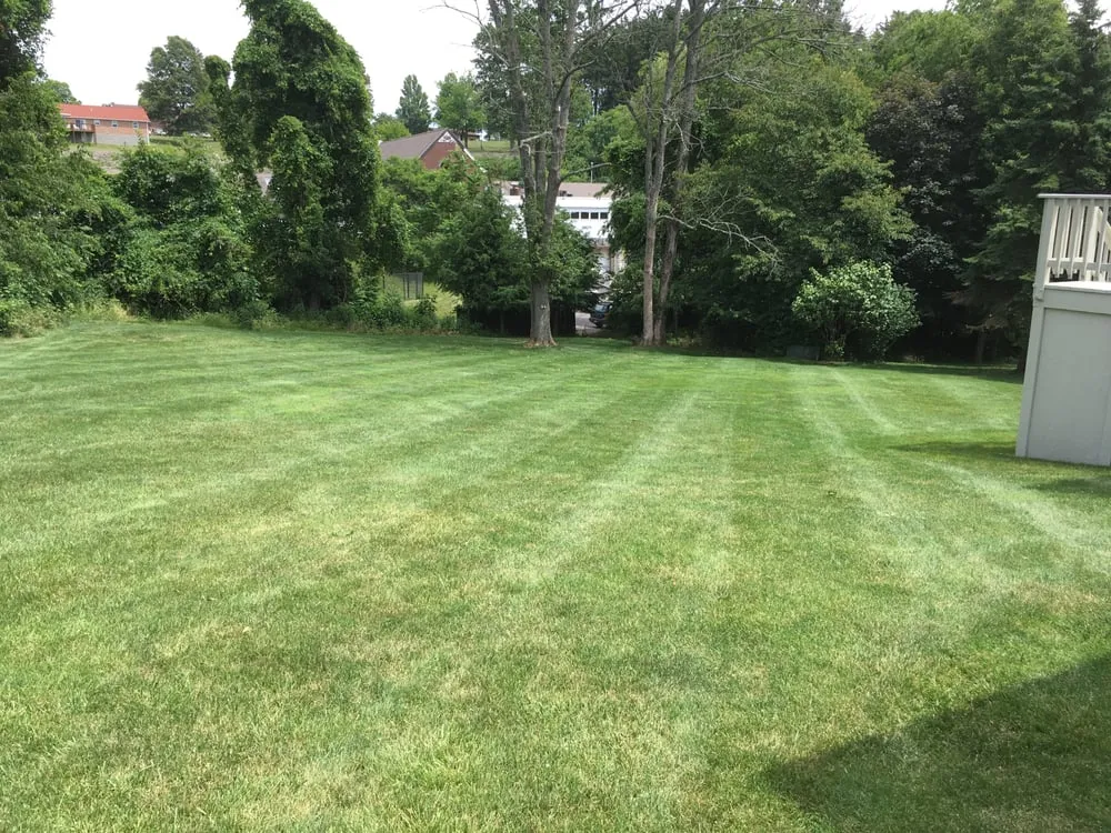Professional landscape installation near you across Saint Clairsville, OH - TayloredTurf