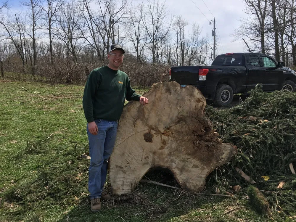 Top-rated yard cleanup service in Saint Clairsville, OH by TayloredTurf