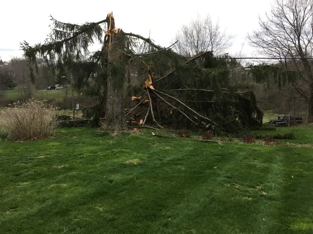 Custom landscape design near you across Saint Clairsville, OH - TayloredTurf