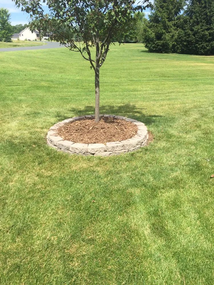 Reliable residential landscaping in Princeton, MN - Taylors All Season