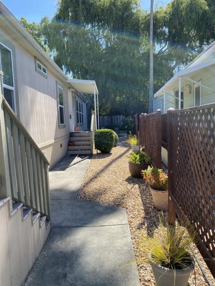 Professional lawn care service in Petaluma, CA by Taylor's Eco-Friendly Landscape Management