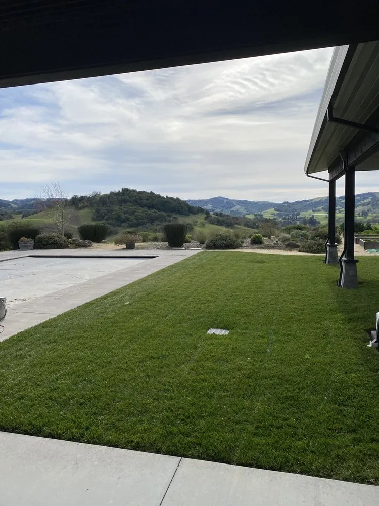 Professional outdoor landscaping in Petaluma, CA - Taylor's Eco-Friendly Landscape Management