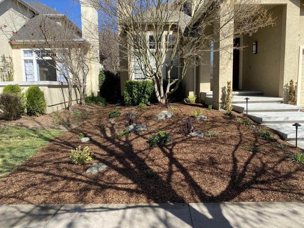 Expert landscape design for year-round maintenance across Petaluma, CA - Taylor's Eco-Friendly Landscape Management