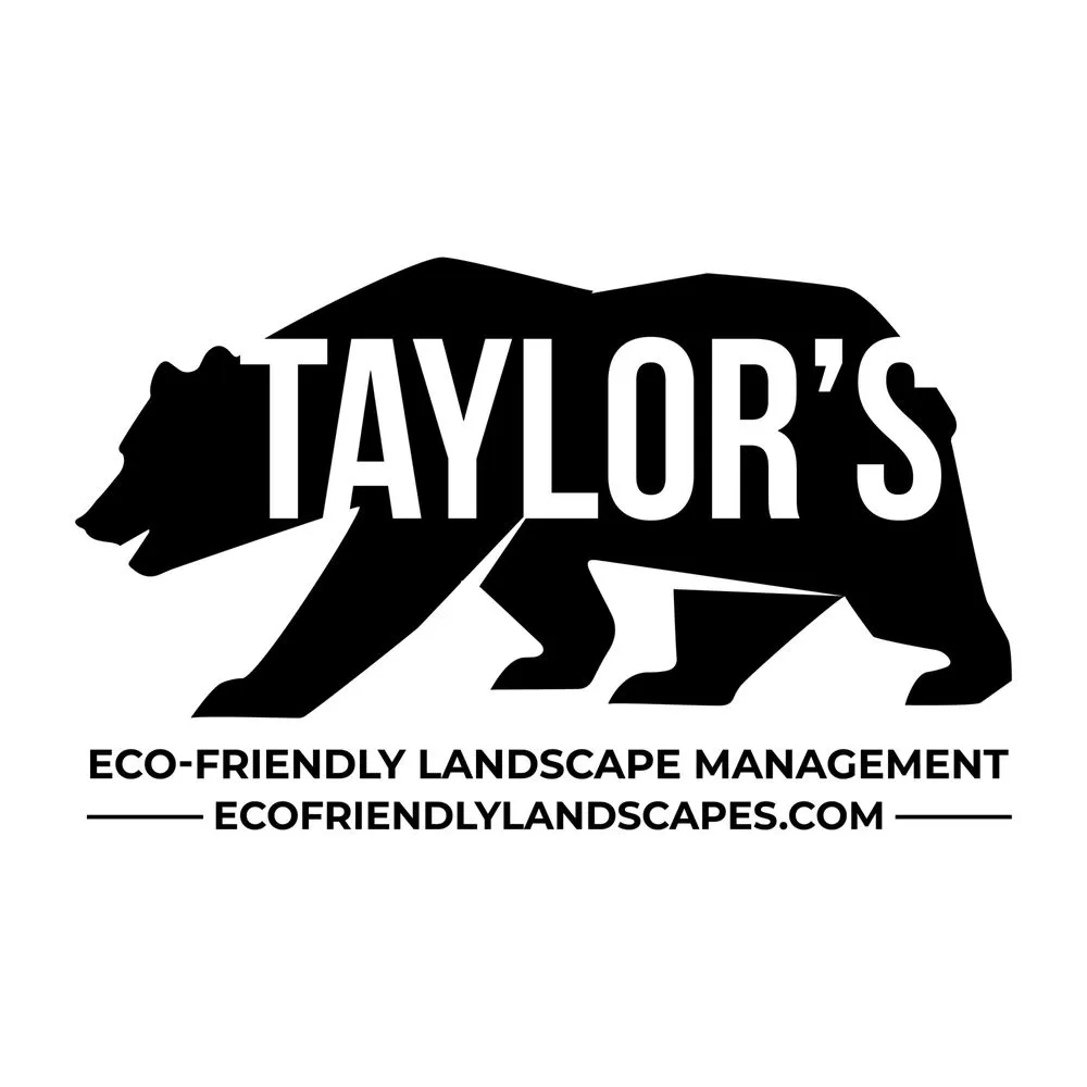 Top-rated yard maintenance with custom design across Petaluma, CA - Taylor's Eco-Friendly Landscape Management