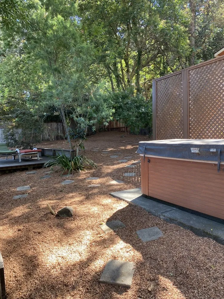 Affordable lawn care service for outdoor upgrades across Petaluma, CA - Taylor's Eco-Friendly Landscape Management