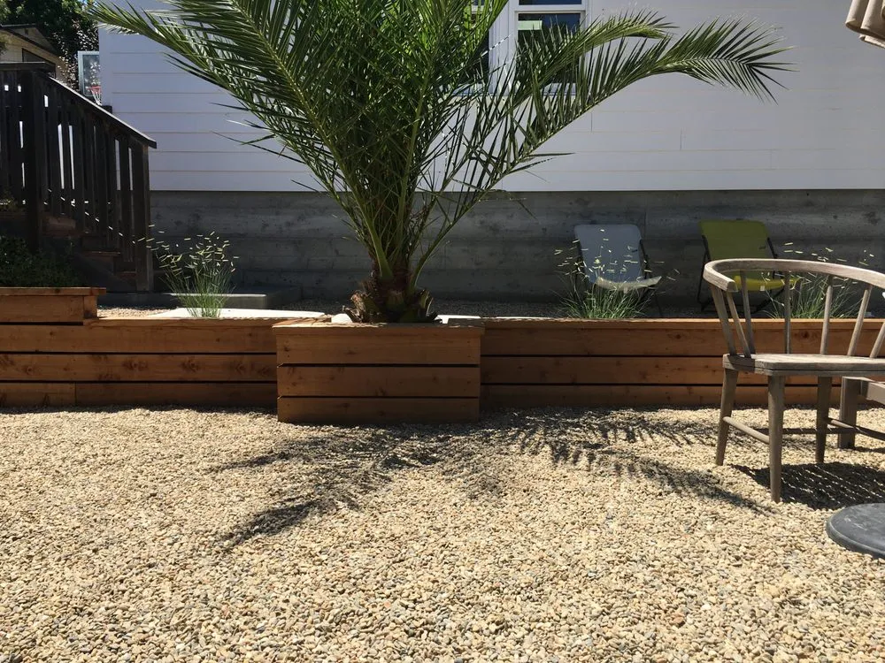 Custom lawn care service in Petaluma, CA by Taylor's Eco-Friendly Landscape Management