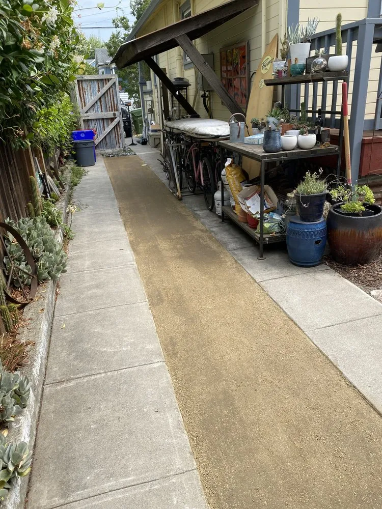 Professional lawn care service for outdoor upgrades in Petaluma, CA by Taylor's Eco-Friendly Landscape Management