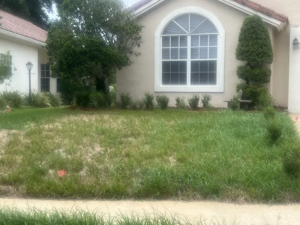 Top-rated yard maintenance in Apopka, FL - Taylors Irrigation