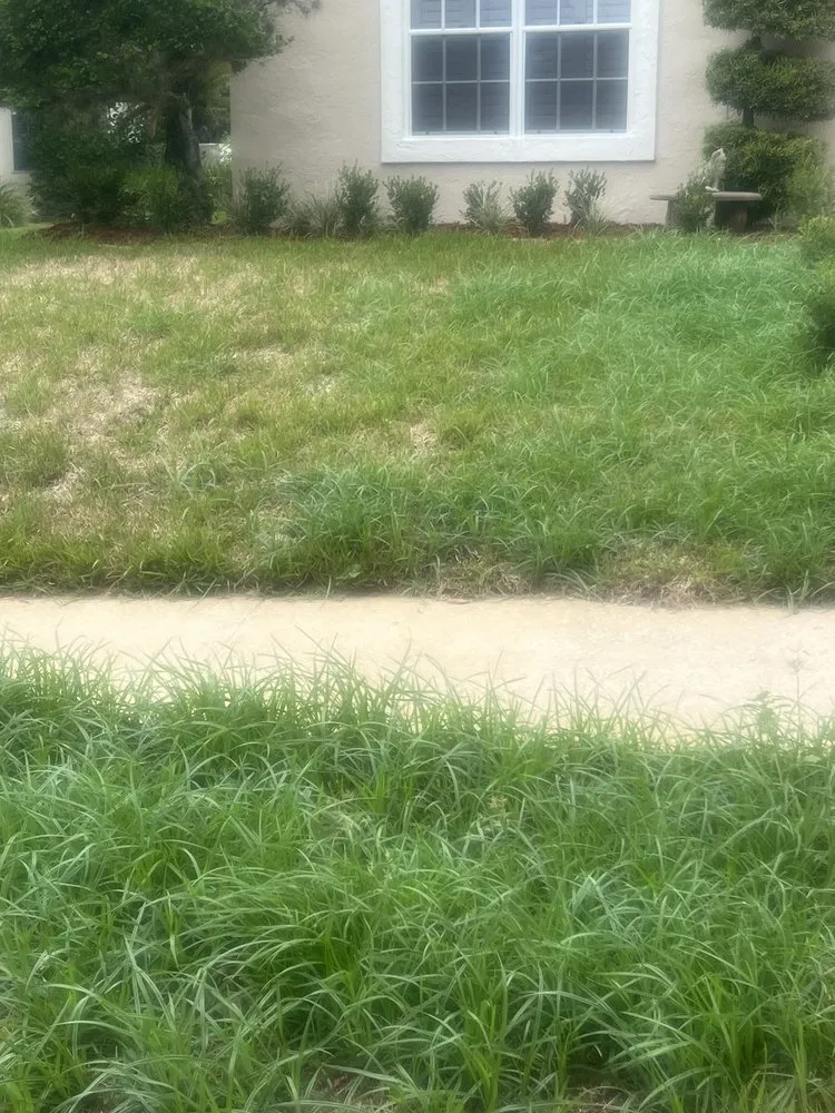 Professional landscape design experts serving Apopka, FL - Taylors Irrigation