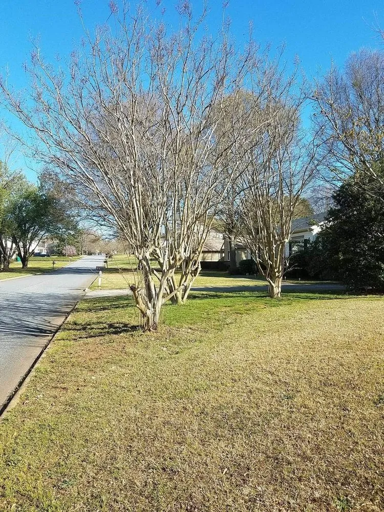 Affordable yard maintenance in Greer, SC by Taylors Landscape & Lawn Care