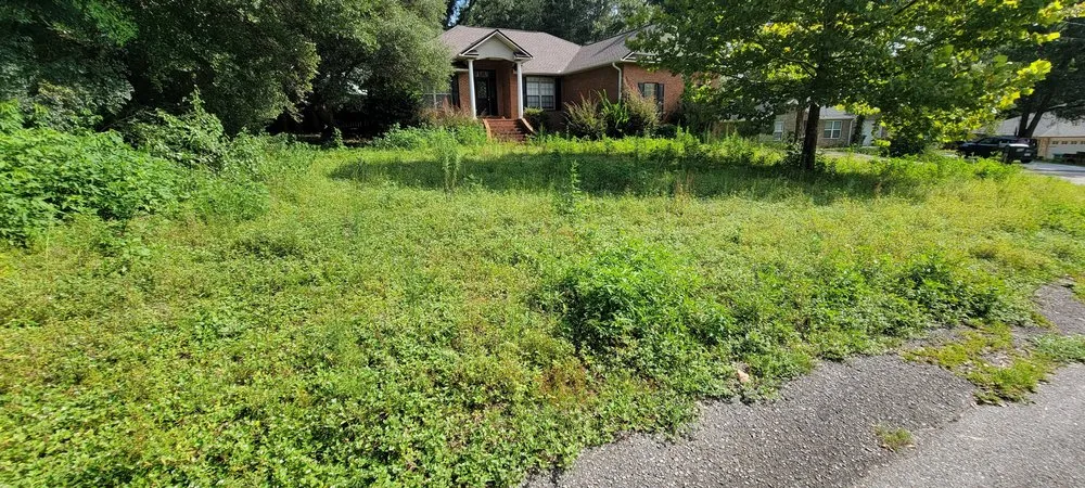 Professional yard maintenance in Greer, SC - Taylors Landscape & Lawn Care