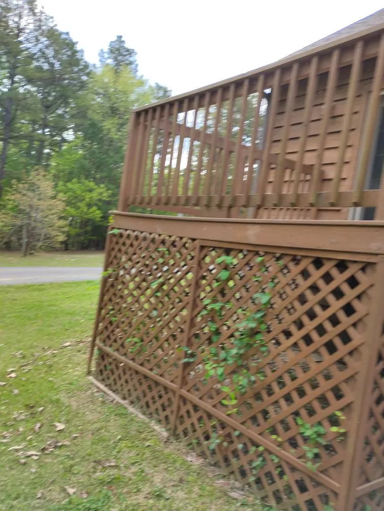 Custom yard cleanup service near you in Brookland, AR by Taylor's Lawn Care & Landscaping