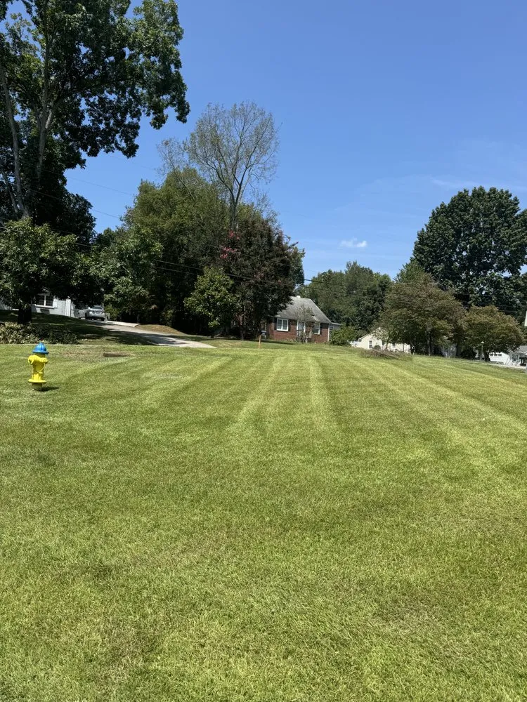 Expert landscape installation in Blaine, TN - Taylor’s Lawn Care