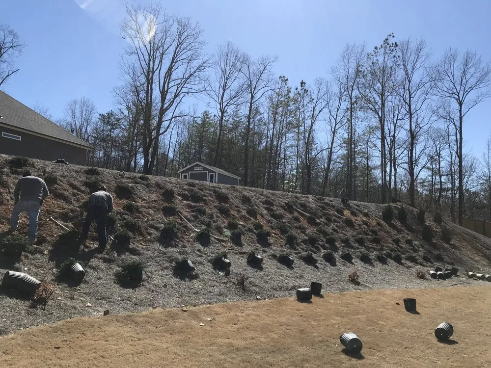 Local yard cleanup service experts serving Canton, GA - Taylor's lawn care